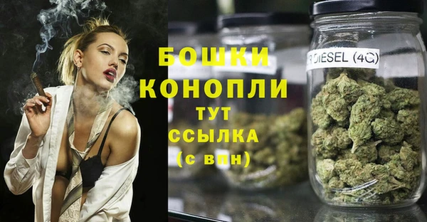 шишки Армянск