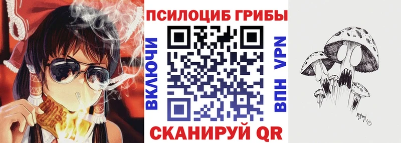 ОМГ ОМГ маркетплейс  Большой Камень  Псилоцибиновые грибы Cubensis 